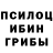 Псилоцибиновые грибы мухоморы Sodiq Botirov