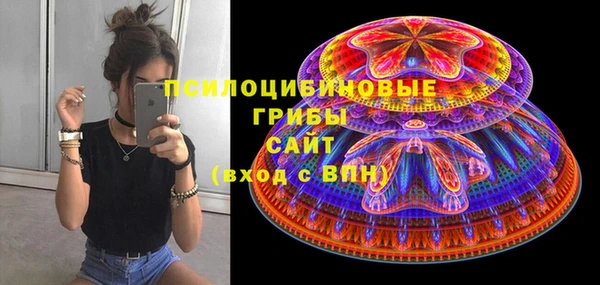PSILOCYBIN Алексин