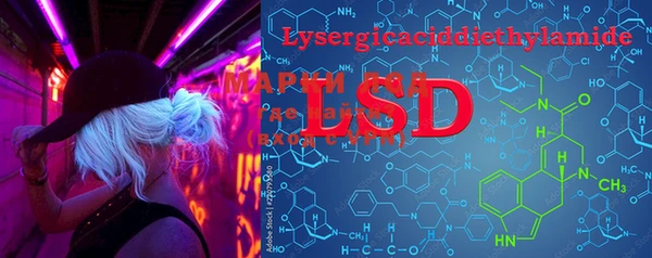 PSILOCYBIN Алексин
