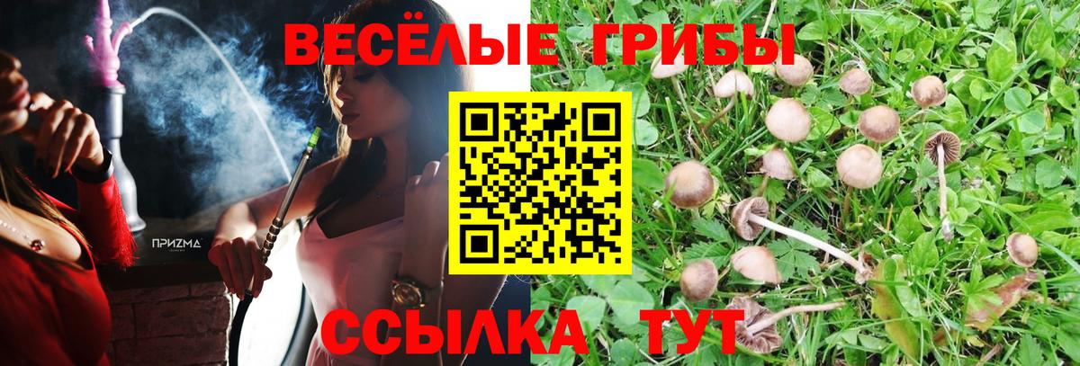 Псилоцибиновые грибы прущие грибы Мичуринск