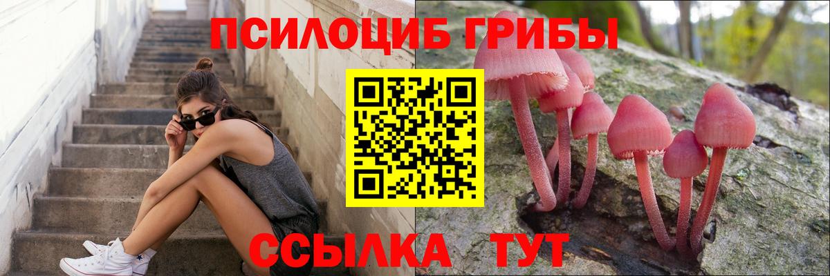 Мичуринск  Галлюциногенные грибы мухоморы  Псилоцибиновые грибы мицелий  Вход с VPN 